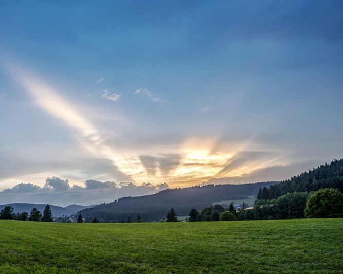Abb. Vier Jahreszeiten
am Schluchsee
